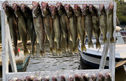 Hooking Lake Erie's Walleye Dreams